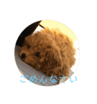 うりスタ vol.1（個別スタンプ：8）