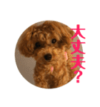 うりスタ vol.1（個別スタンプ：11）
