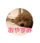 うりスタ vol.1（個別スタンプ：13）