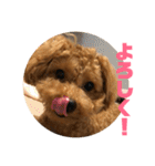 うりスタ vol.1（個別スタンプ：17）