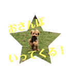 うりスタ vol.1（個別スタンプ：23）