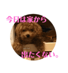 うりスタ vol.1（個別スタンプ：24）