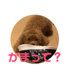 うりスタ vol.1（個別スタンプ：27）