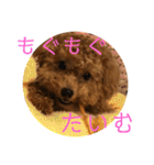 うりスタ vol.1（個別スタンプ：32）
