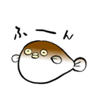 メンダコちゃんスタンプ（個別スタンプ：20）