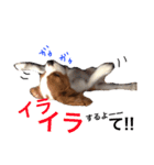愛犬ジョイの日常（個別スタンプ：21）