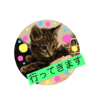 komugi+°（個別スタンプ：7）