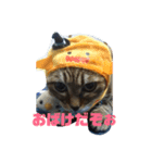 ぐーたらソウタ ハロウィンVer.（個別スタンプ：3）