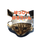 ぐーたらソウタ ハロウィンVer.（個別スタンプ：8）