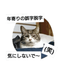 猫屋敷 わさりりあん～④（個別スタンプ：40）