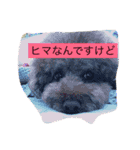ティッシュんさん（個別スタンプ：1）