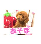 ティッシュんさん（個別スタンプ：2）