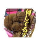 ティッシュんさん（個別スタンプ：7）