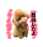 ティッシュんさん（個別スタンプ：8）