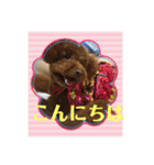 ティッシュんさん（個別スタンプ：11）