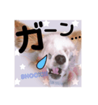 ハナのスタンプ第二弾！（個別スタンプ：7）
