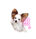 ハナのスタンプ第二弾！（個別スタンプ：16）
