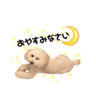 もん吉くんです（個別スタンプ：1）