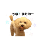 もん吉くんです（個別スタンプ：4）