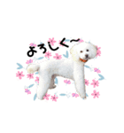 もん吉くんです（個別スタンプ：5）