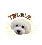 もん吉くんです（個別スタンプ：7）