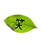 葉っぱの手紙（個別スタンプ：2）