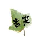 葉っぱの手紙（個別スタンプ：3）