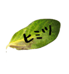 葉っぱの手紙（個別スタンプ：10）