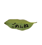葉っぱの手紙（個別スタンプ：13）