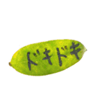 葉っぱの手紙（個別スタンプ：15）
