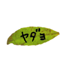 葉っぱの手紙（個別スタンプ：24）