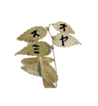 葉っぱの手紙（個別スタンプ：34）