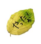葉っぱの手紙（個別スタンプ：36）