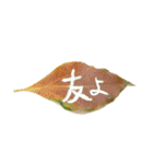 葉っぱの手紙（個別スタンプ：38）