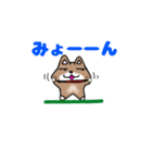柴犬ガウガウちゃんねる3（個別スタンプ：6）