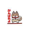 柴犬ガウガウちゃんねる3（個別スタンプ：16）