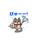 柴犬ガウガウちゃんねる3（個別スタンプ：17）