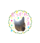 うちの愛犬しばいぬくん（個別スタンプ：7）