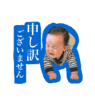 れん君のスタンプ（個別スタンプ：12）