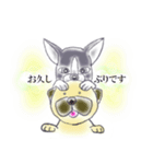 仲良しペチャさん（個別スタンプ：3）