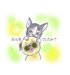 仲良しペチャさん（個別スタンプ：4）