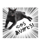 ドラマチック黒ねこ（個別スタンプ：2）