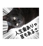 ドラマチック黒ねこ（個別スタンプ：6）