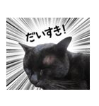 ドラマチック黒ねこ（個別スタンプ：26）