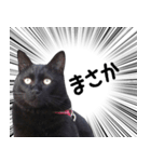 ドラマチック黒ねこ（個別スタンプ：30）