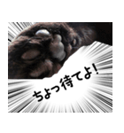 ドラマチック黒ねこ（個別スタンプ：31）