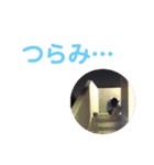 楽しい夏公演Pop2018スタンプ！（個別スタンプ：36）