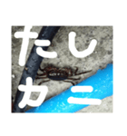 あの日の蟹（個別スタンプ：2）