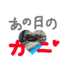 あの日の蟹（個別スタンプ：3）