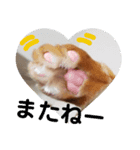 吾輩は『きん』である。（個別スタンプ：7）